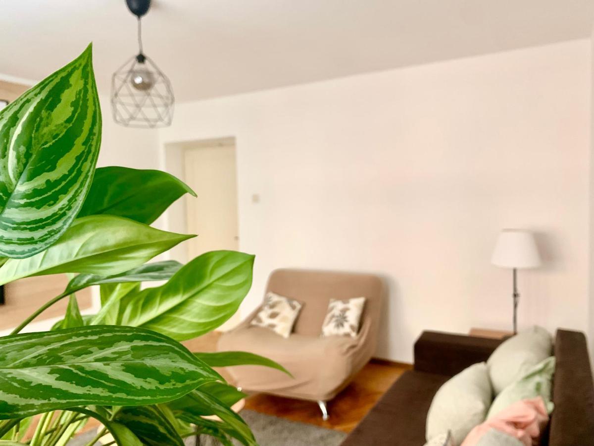 Star Apartment 2 ベオグラード エクステリア 写真